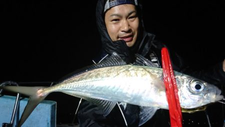 シースナイパー海龍 釣果