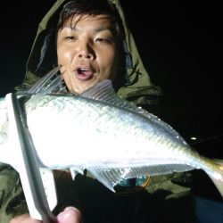 シースナイパー海龍 釣果