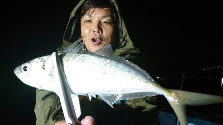 シースナイパー海龍 釣果