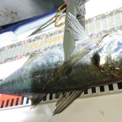シースナイパー海龍 釣果