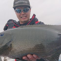 シースナイパー海龍 釣果