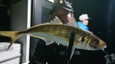 シースナイパー海龍 釣果