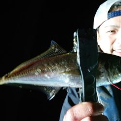 シースナイパー海龍 釣果