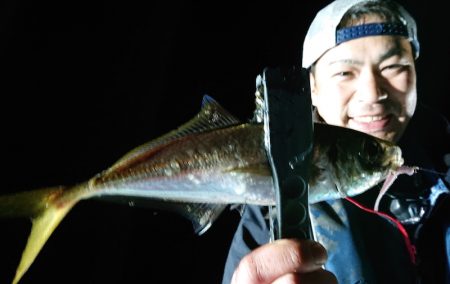 シースナイパー海龍 釣果