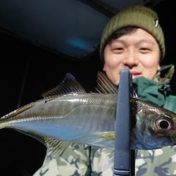 シースナイパー海龍 釣果