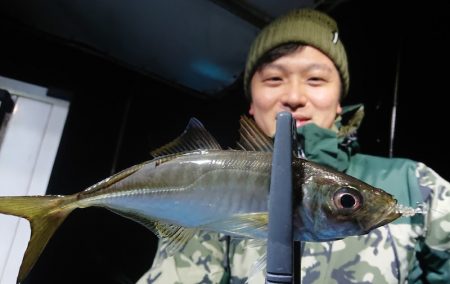 シースナイパー海龍 釣果