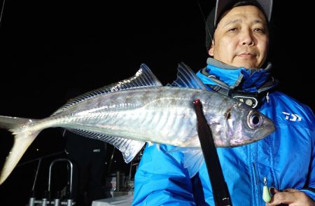 シースナイパー海龍 釣果