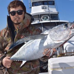渡船屋たにぐち 釣果