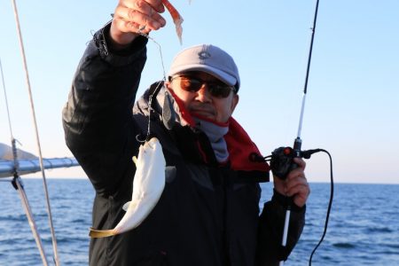 浜栄丸 釣果