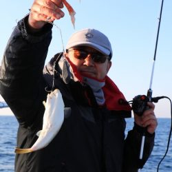 浜栄丸 釣果