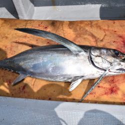 渡船屋たにぐち 釣果