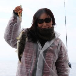 浜栄丸 釣果