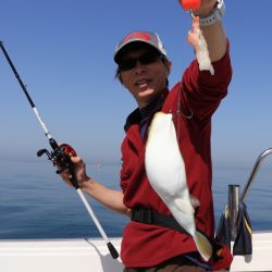 浜栄丸 釣果