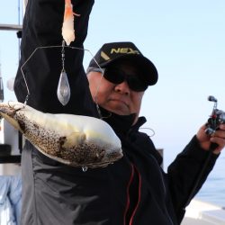 浜栄丸 釣果