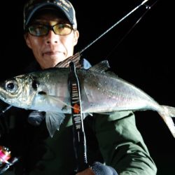 シースナイパー海龍 釣果