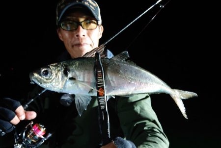 シースナイパー海龍 釣果