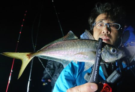 シースナイパー海龍 釣果