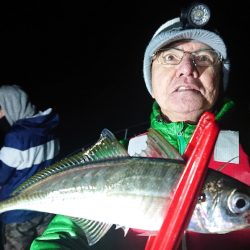 シースナイパー海龍 釣果