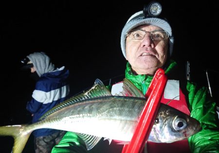シースナイパー海龍 釣果