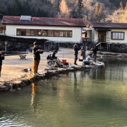 白州トラウトフィッシングエリア　シルフ 釣果