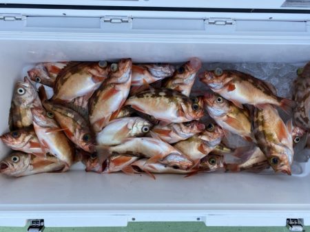 海龍丸（石川） 釣果