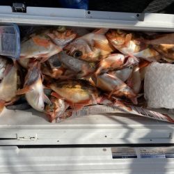 海龍丸（石川） 釣果