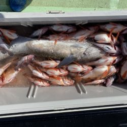 海龍丸（石川） 釣果