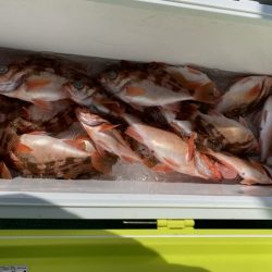 海龍丸（石川） 釣果