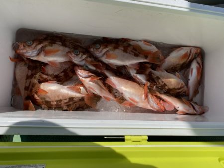 海龍丸（石川） 釣果