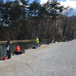 白州トラウトフィッシングエリア シルフ 釣果