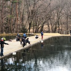 白州トラウトフィッシングエリア シルフ 釣果