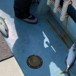 あみや渡船 JIGBOY 釣果