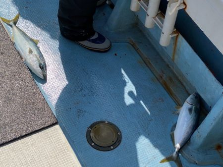 あみや渡船 JIGBOY 釣果