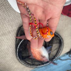 龍神丸(鹿児島) 釣果