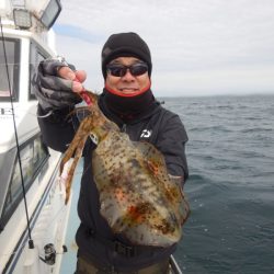 きずなまりん 釣果