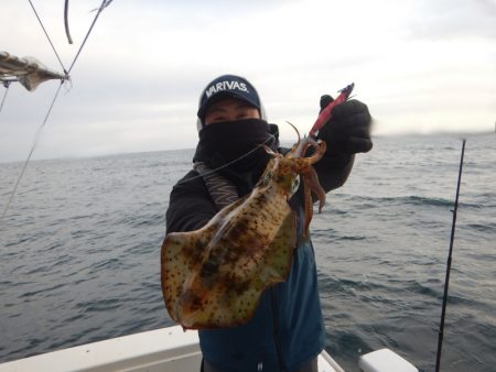 きずなまりん 釣果