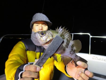 Chase（チェイス） 釣果