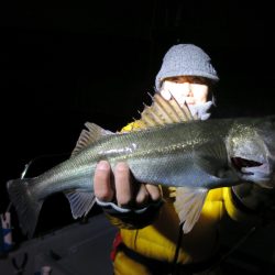 Chase（チェイス） 釣果