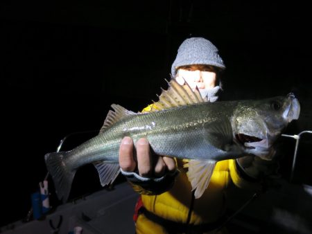 Chase（チェイス） 釣果