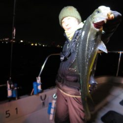 Chase（チェイス） 釣果