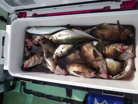 海龍丸（石川） 釣果