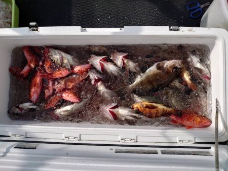 海龍丸（石川） 釣果