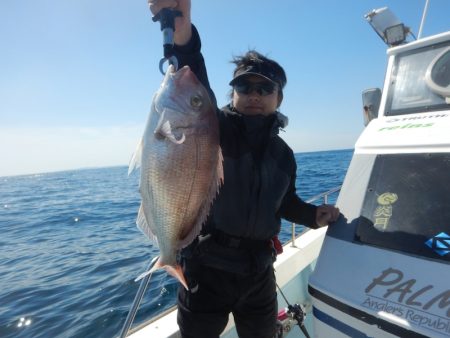 きずなまりん 釣果
