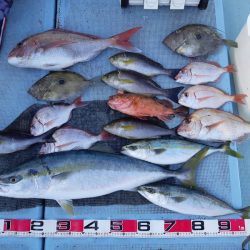 清和丸 釣果