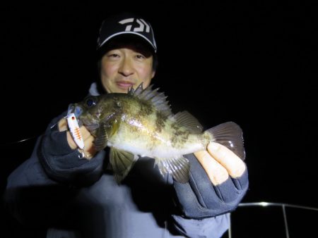 Chase（チェイス） 釣果