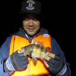 Chase(チェイス) 釣果