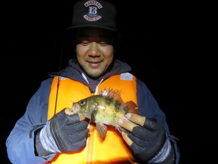 Chase(チェイス) 釣果