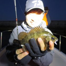 Chase(チェイス) 釣果