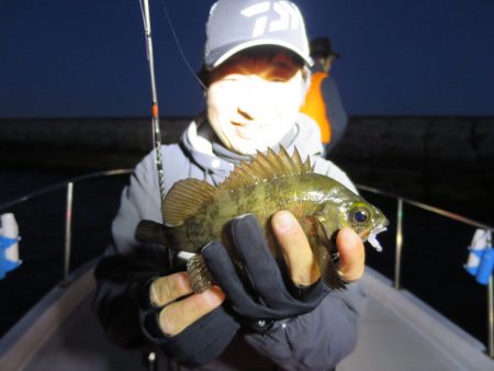 Chase(チェイス) 釣果