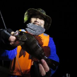 Chase(チェイス) 釣果